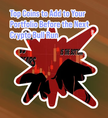 Crypto bull run