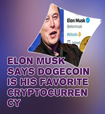 Elon one crypto