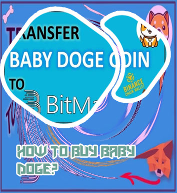 How to buy baby dogecoin