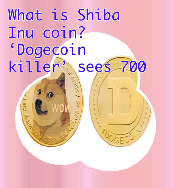 What's dogecoin